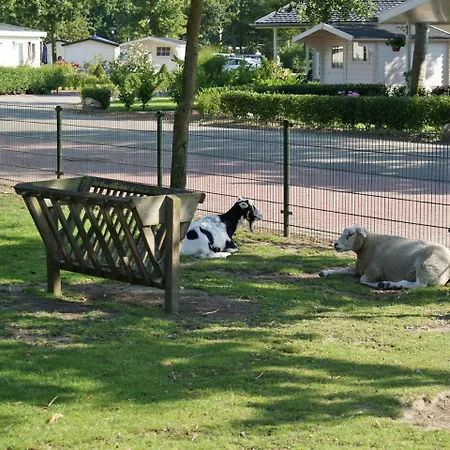 Holiday Droompark Molengroet Дом отдыха *